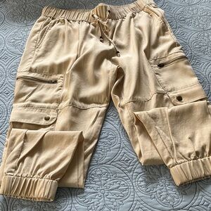 Banana Republic Tan Cargo Joggers